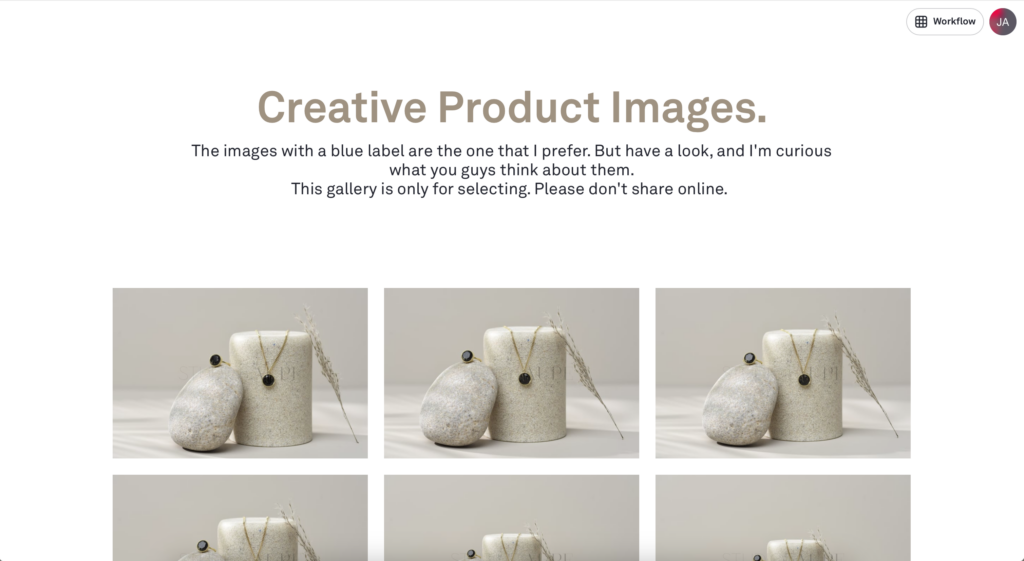 Picflow gallery overview after login, Studio Taupe